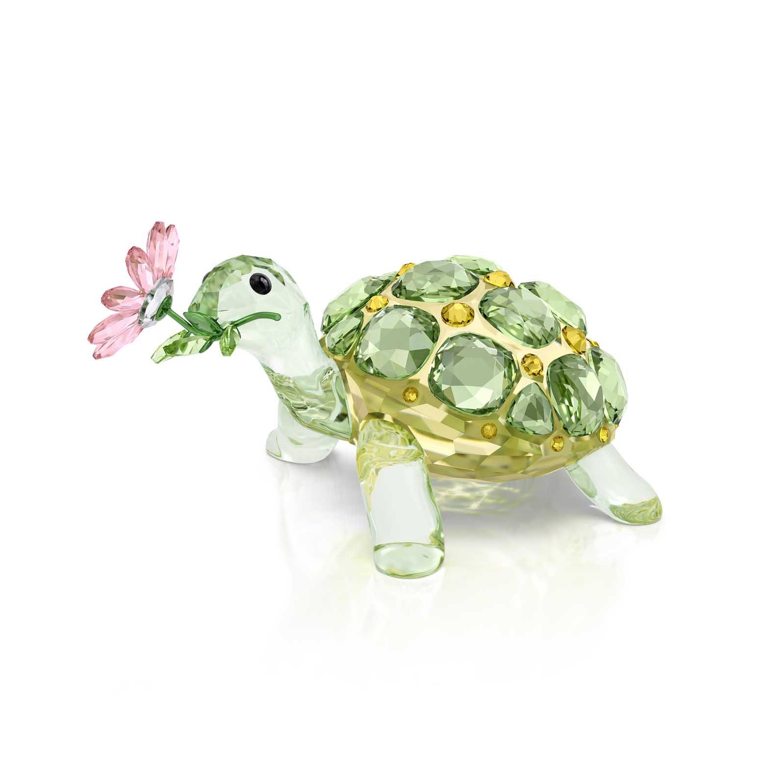 Swarovski Idyllia Tortoise and Daisy