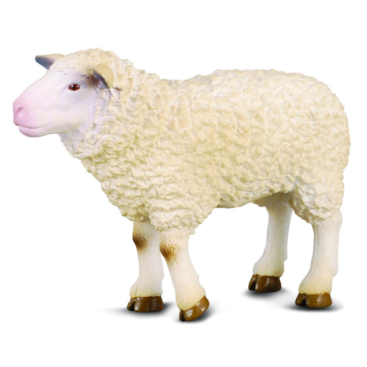 CollectA Sheep Figurine