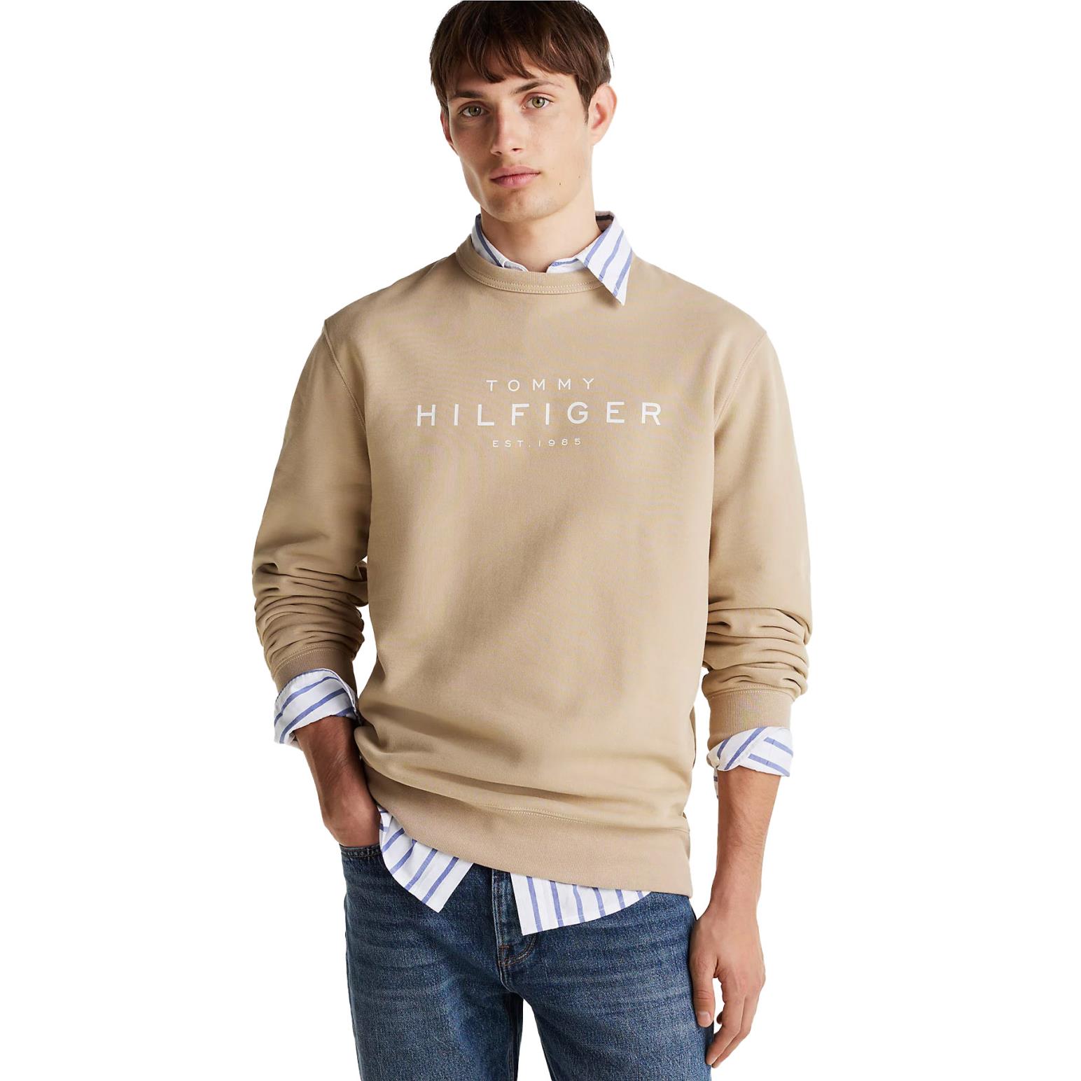 Tommy Hilfiger Logo Crew Neck Sweater
