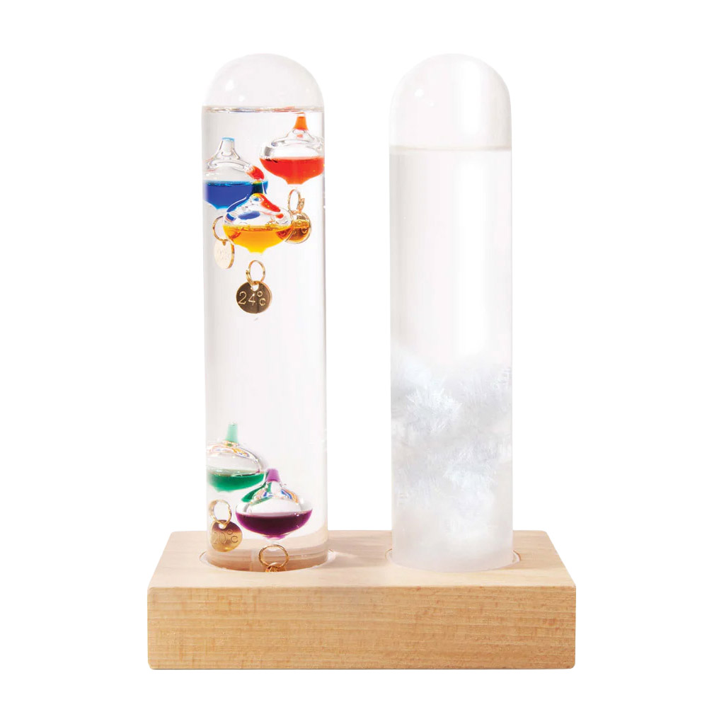 Maverick Dual Weather Station