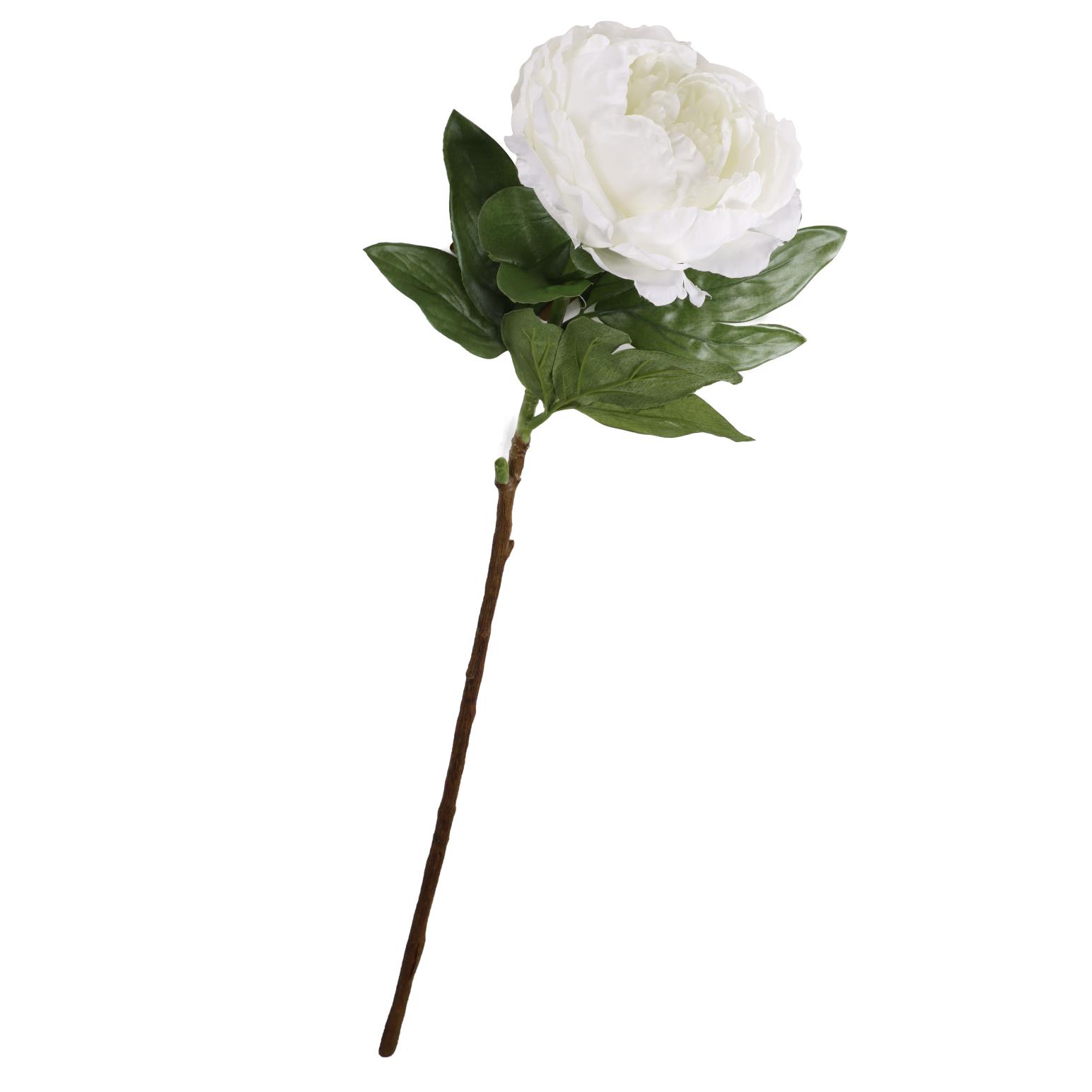 Alison's Acquisitions Queen Peony Large - White