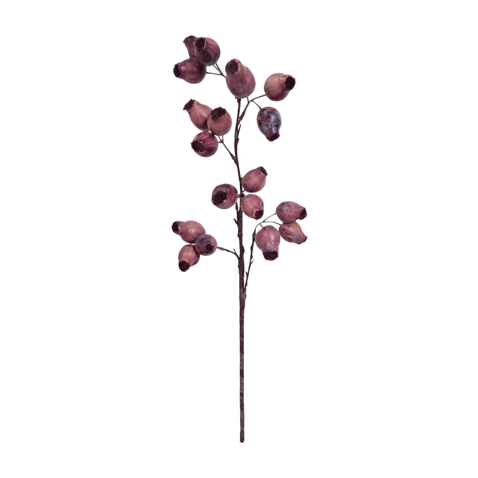 Alison's Acquisitions Gum Nut Pods - Aubergine