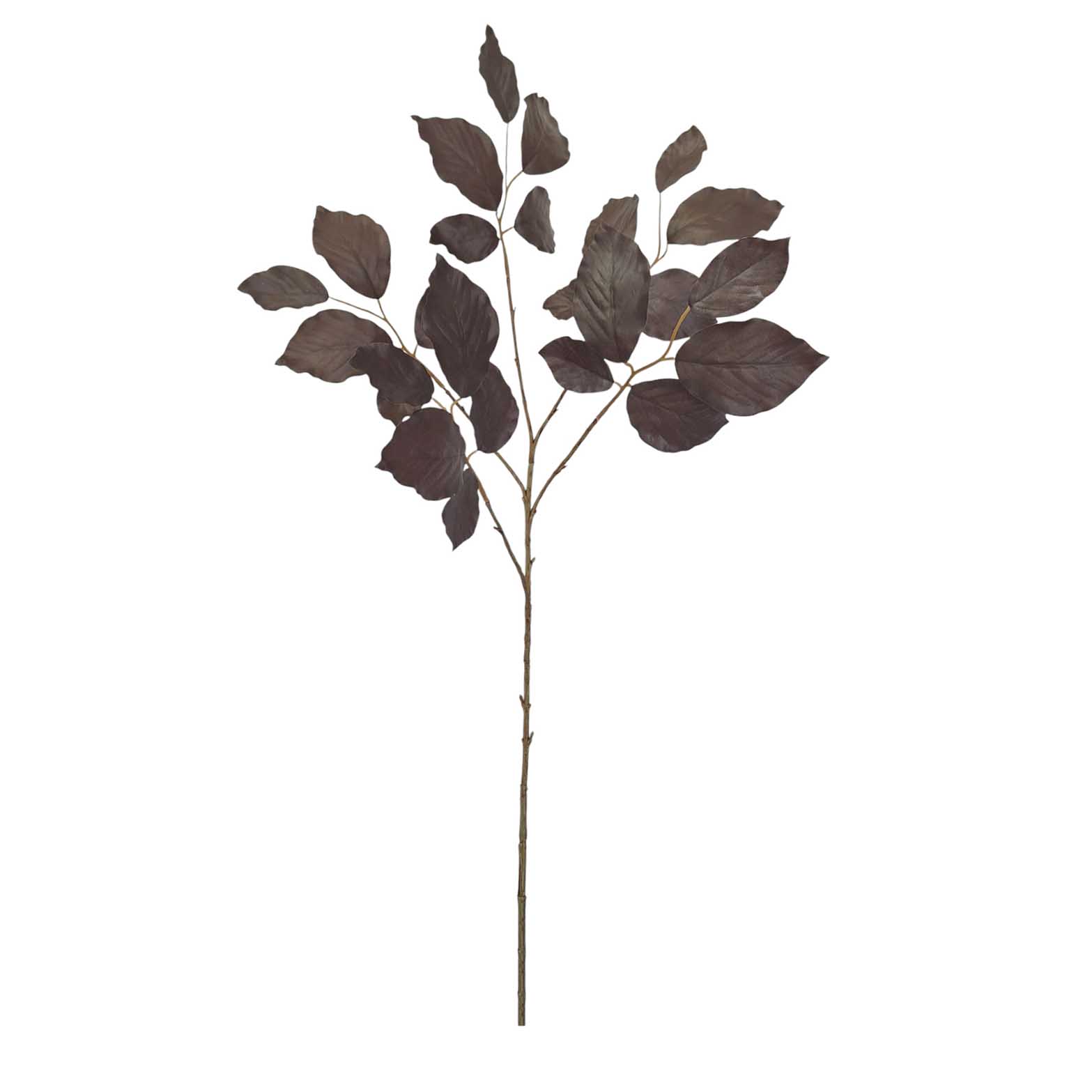 Alison's Acquisitions Beech Spray - Copper