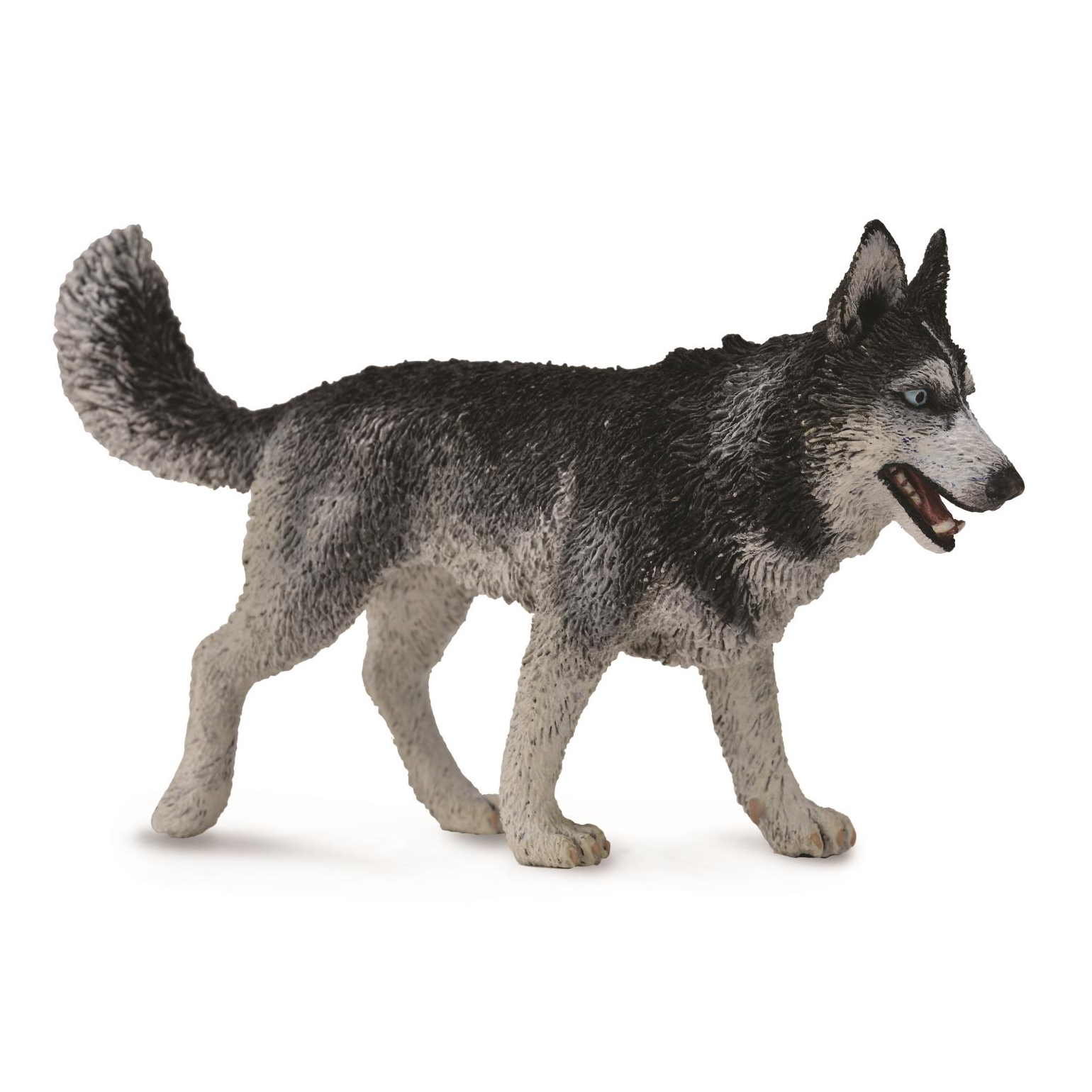CollectA Siberian Husky