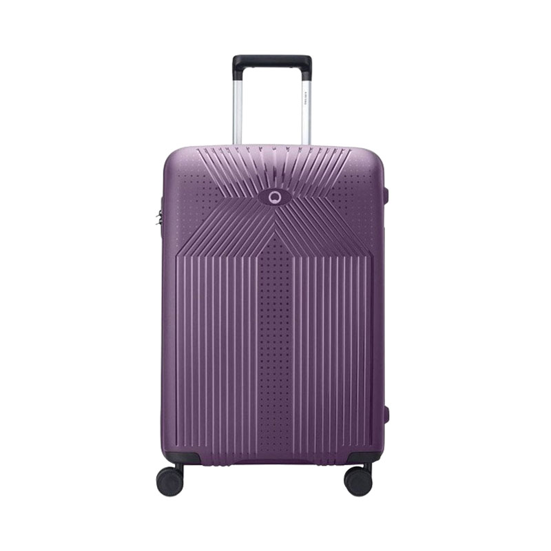 Delsey Ordener 55cm Travel Case
