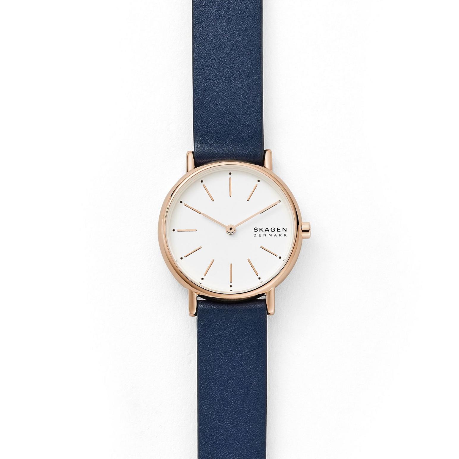 Skagen Signatur Blue Analogue Watch SKW2838