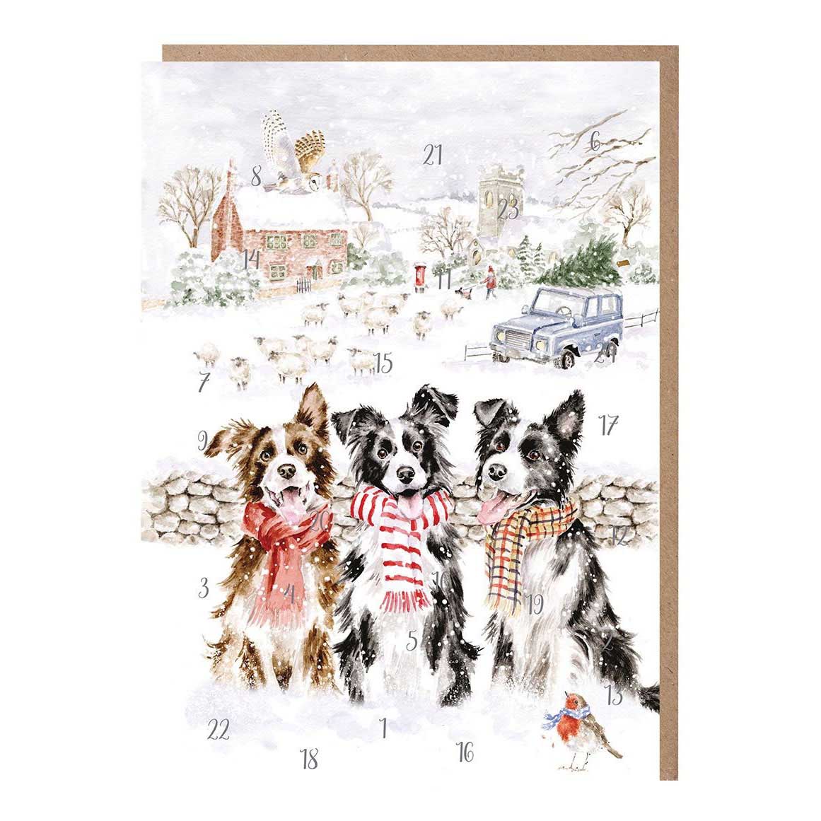 Wrendale 'While Shepherds Watched' Border Collie Advent Calendar