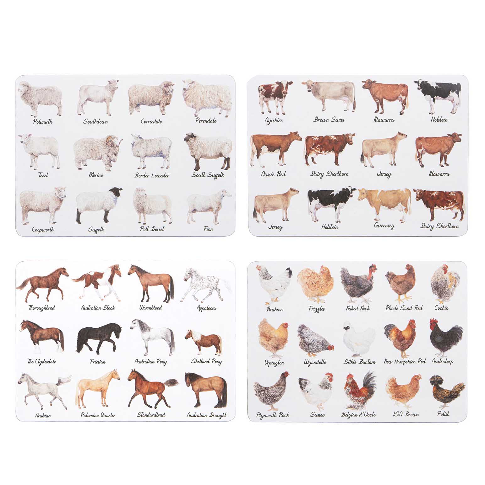 Ashdene Best In Breed 4Pk Assorted Placemat