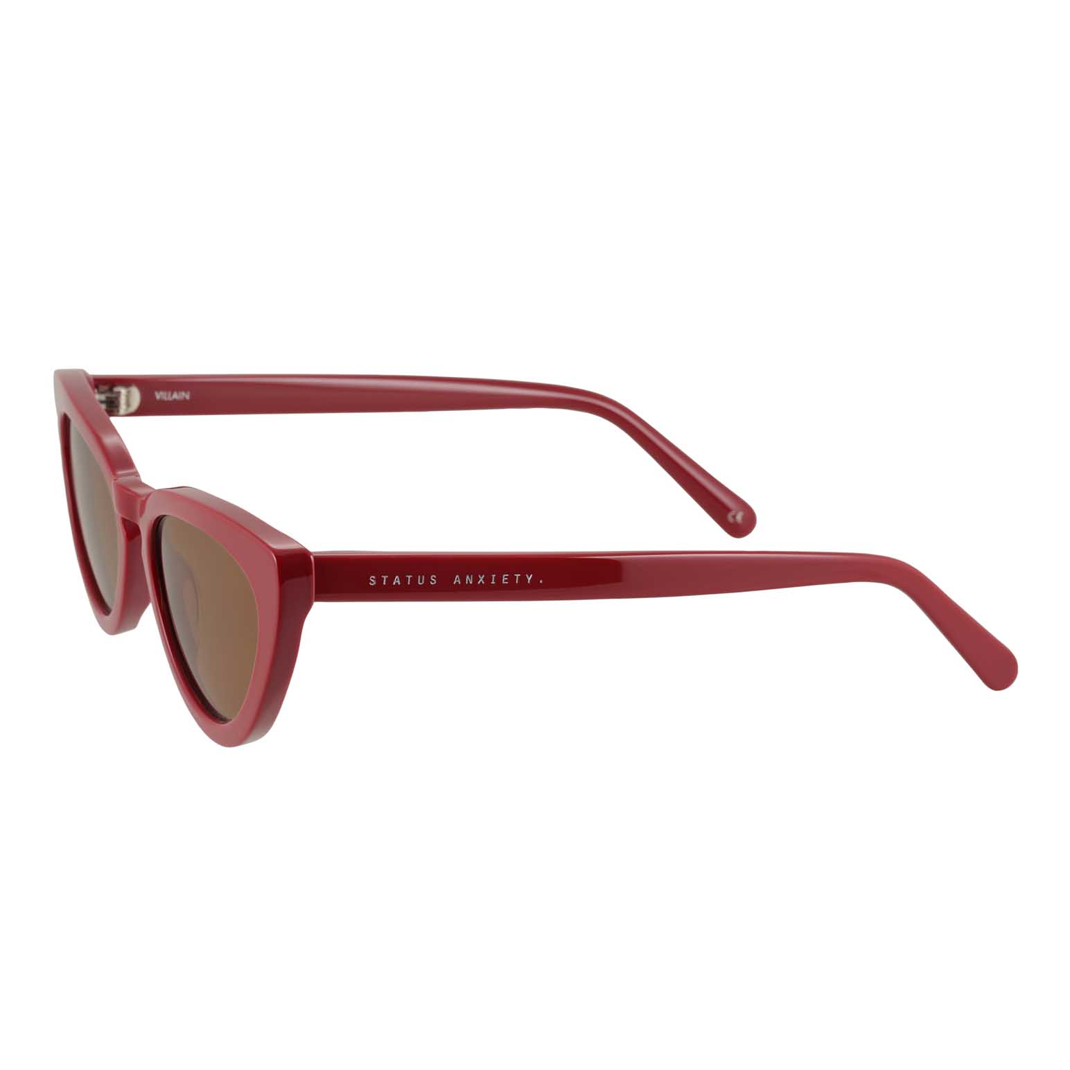 Status Anxiety Villain Sunglasses