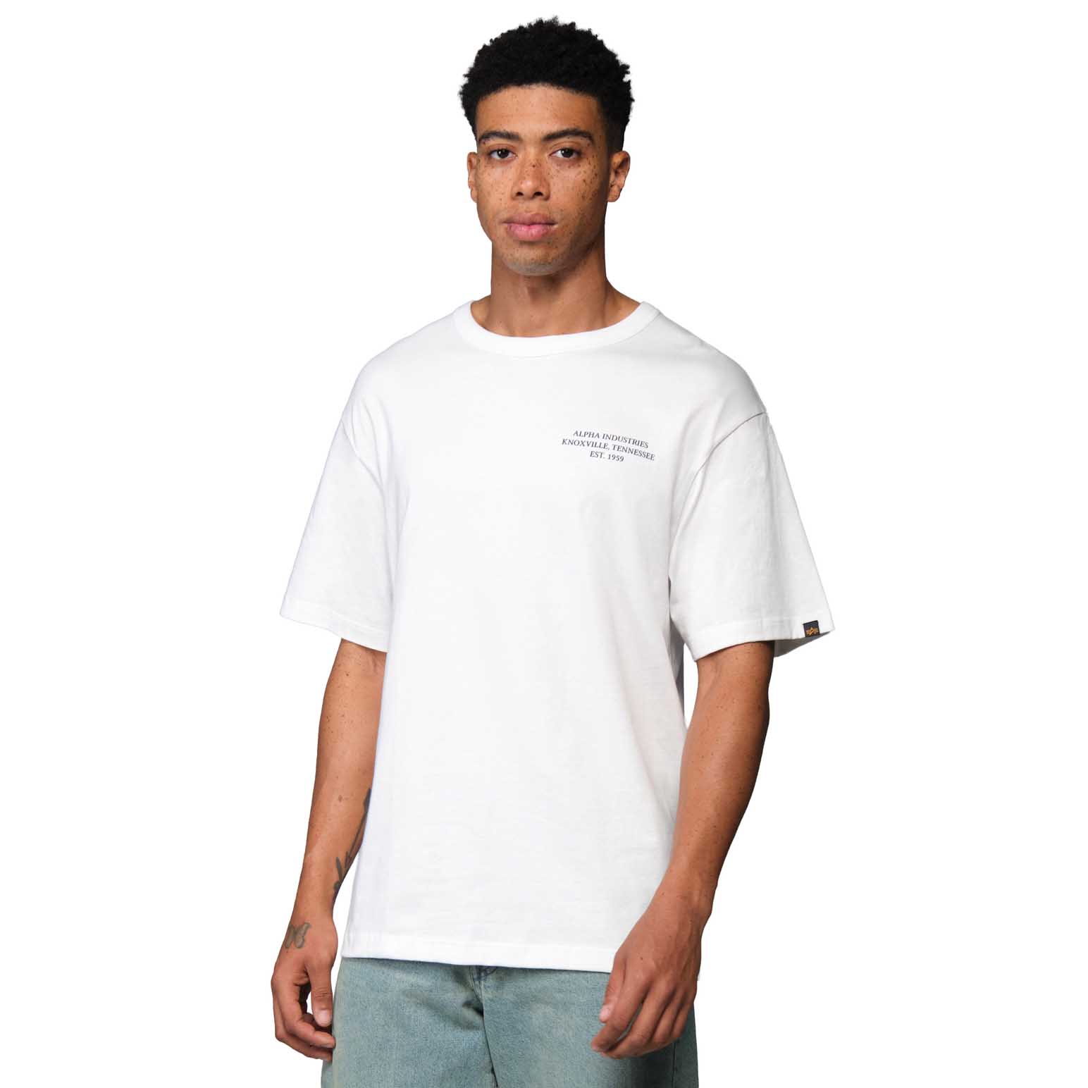 Alpha Industries Essential Relaxed Fit Tee (Dragon)