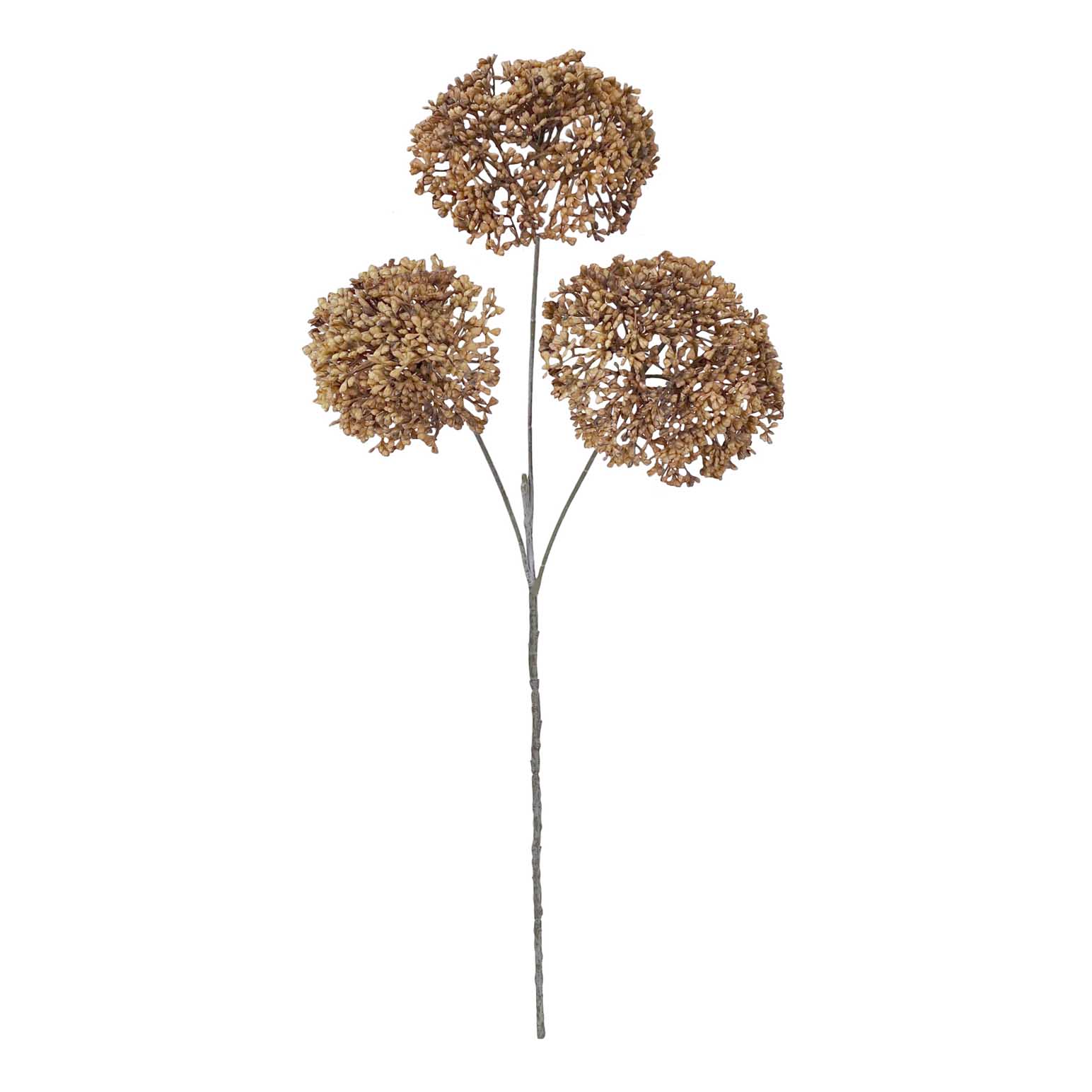 Alison's Acquisitions Sedum Spray Brown