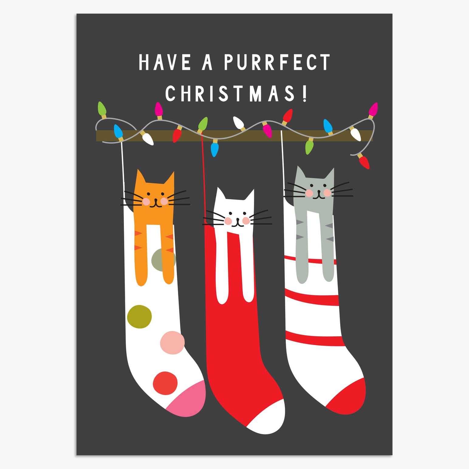 Image Gallery Purrfect Christmas Card Box of 8