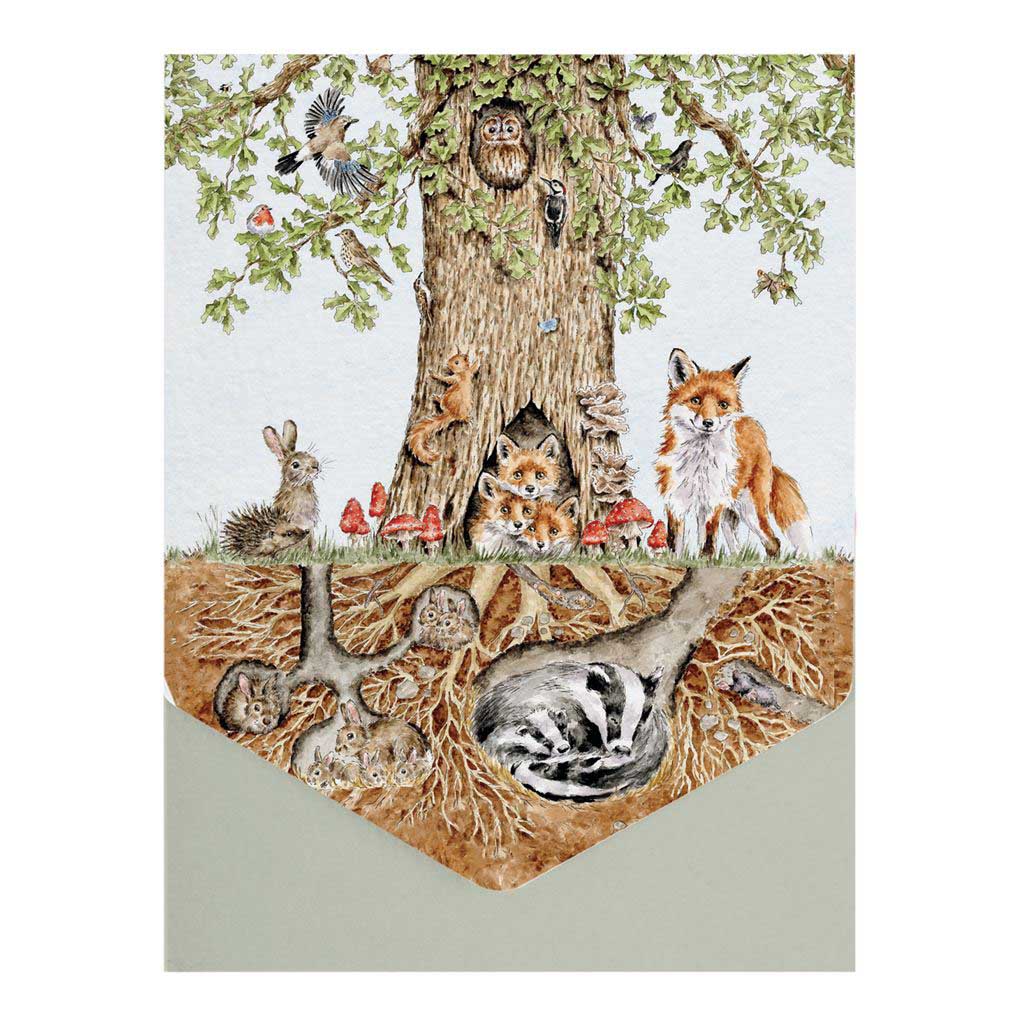 Image Gallery Nature Woodland Notecard Pack 8