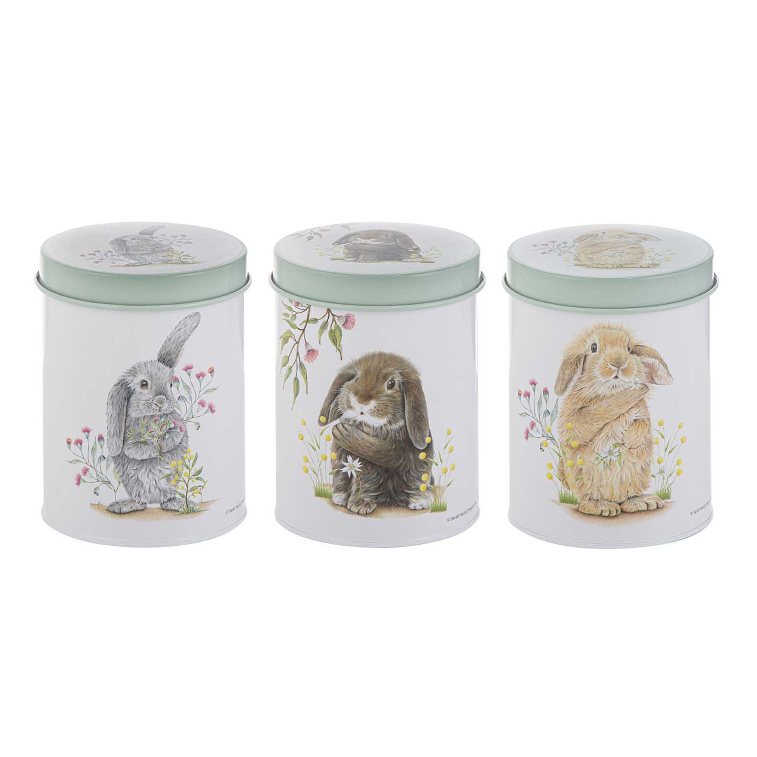 Ashdene Bunny Tales 3Pk Canister