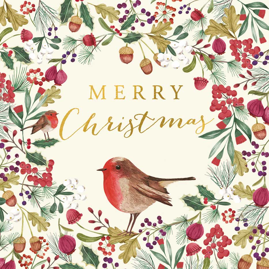 Image Gallery Robin Christmas Card Lux Box of 8