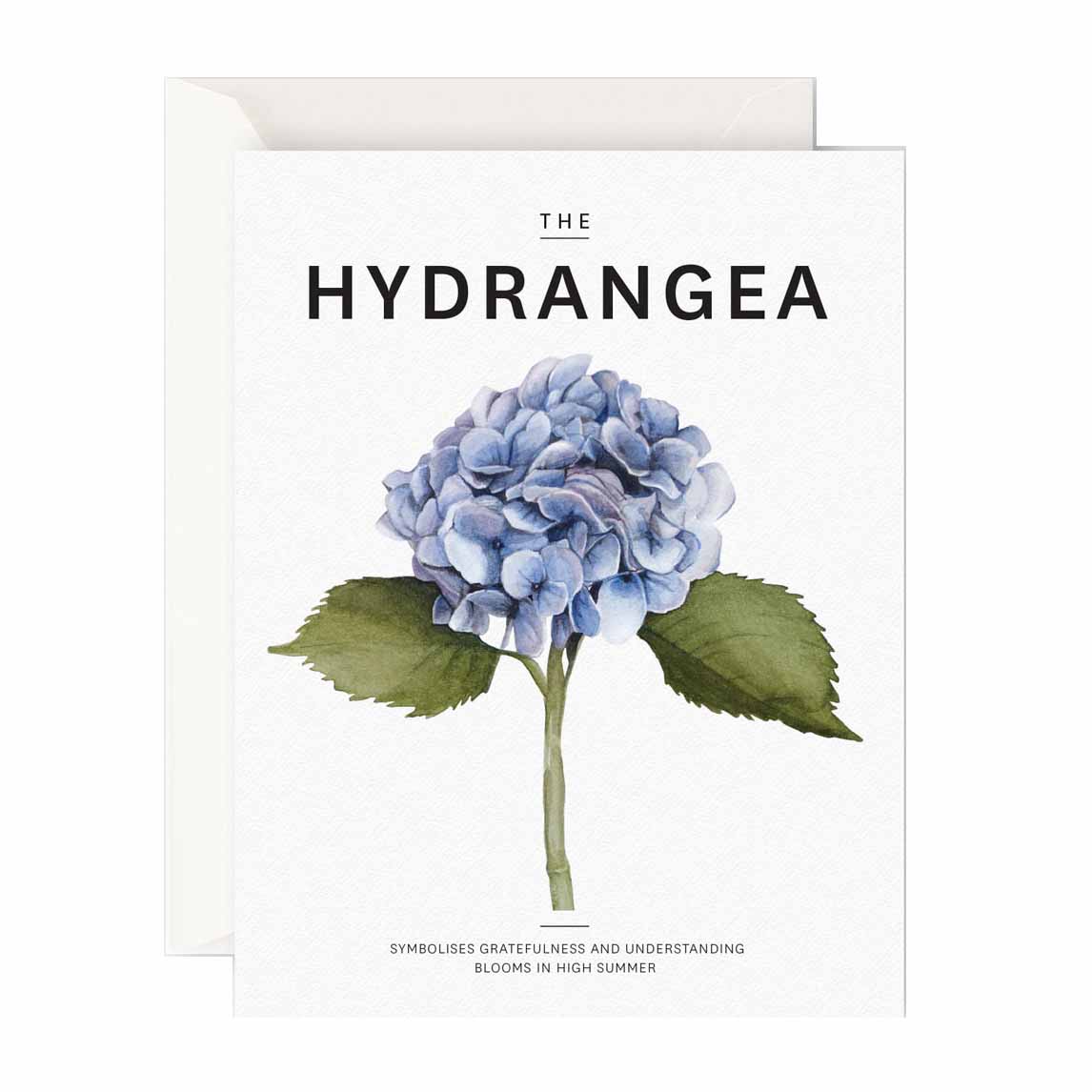 Father Rabbit Stationery The Hydrangea Card