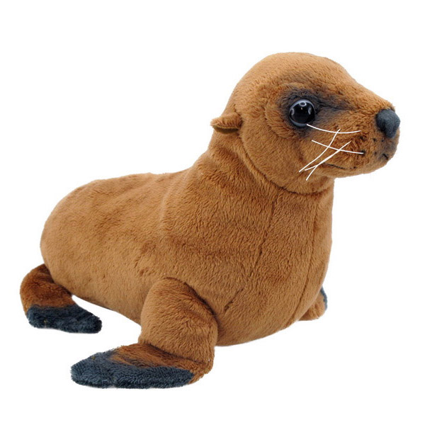 Antics Nz Sea Lion Sound