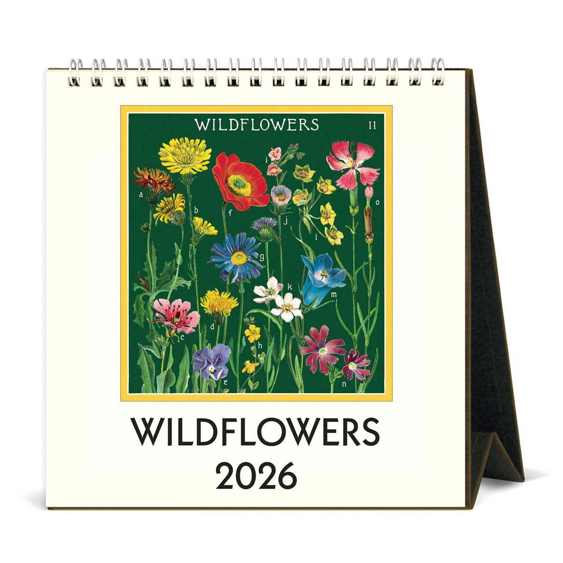 Cavallini Wildflowers 2026 Desk Calendar