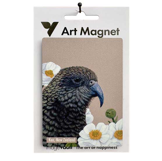 Portrait Of A Kea Art Magnet