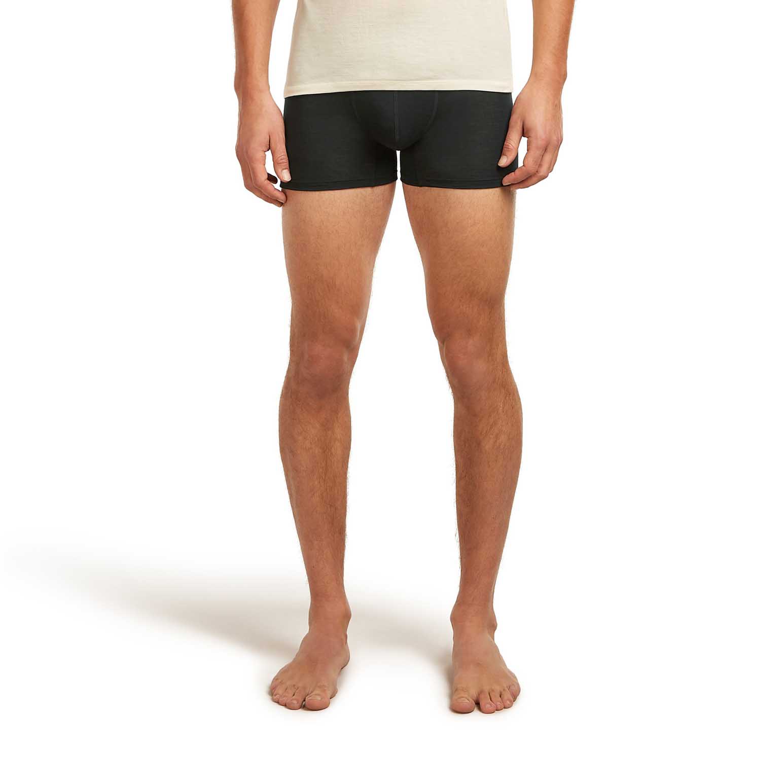 Icebreaker M Merino Blend 125 ZoneKnit Boxers