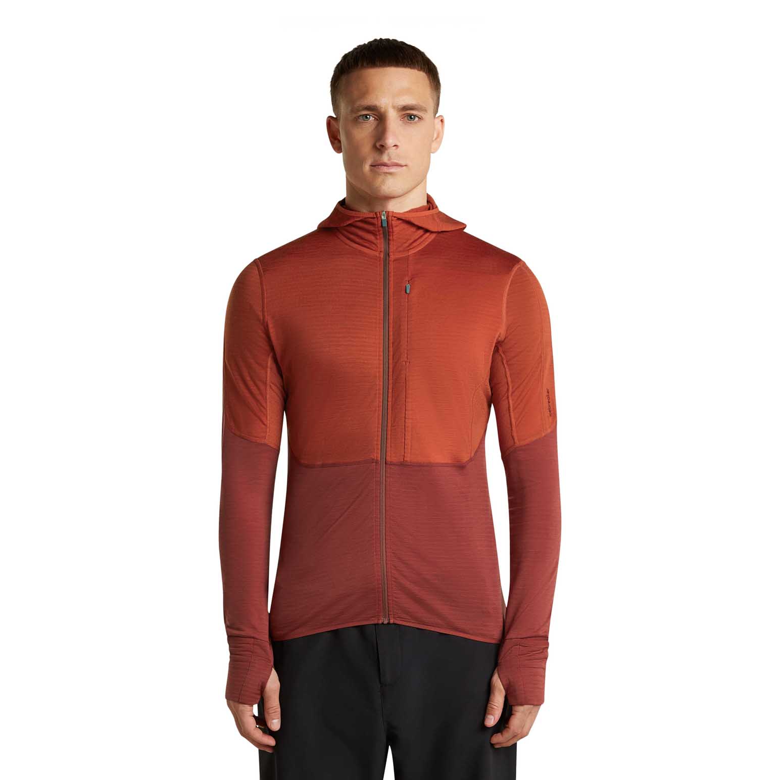 Icebreaker M Merino 200 RealFleece Descender LS Zip Hoodie