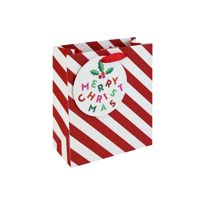 Paperie Eurowrap Candy Cane Medium Gift Bag