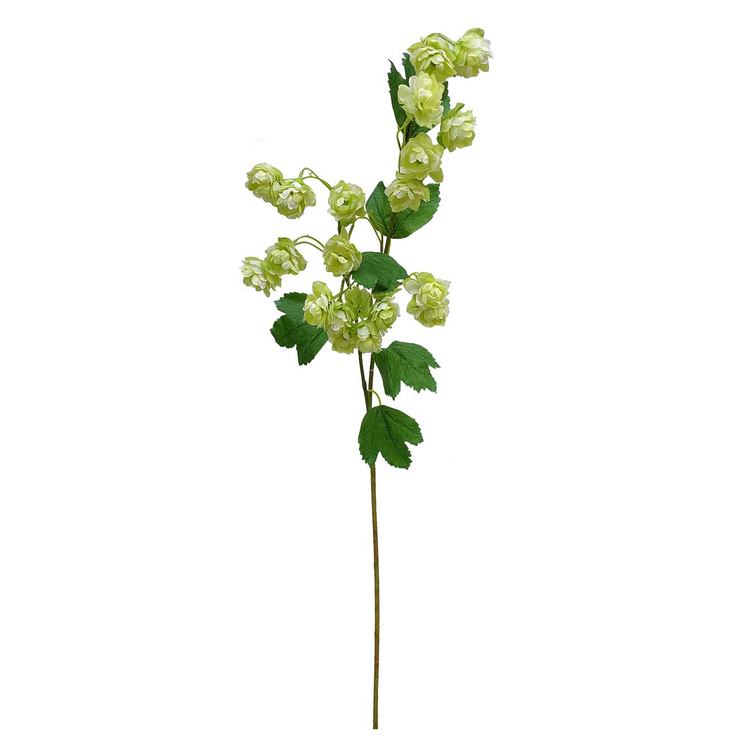 Alison's Acquisitions Tall Hop Flower Green