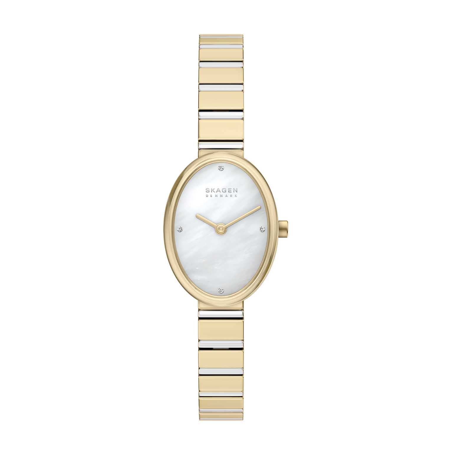 Skagen Anita Oval Two-Hand Two-Tone Stainless Steel Watch