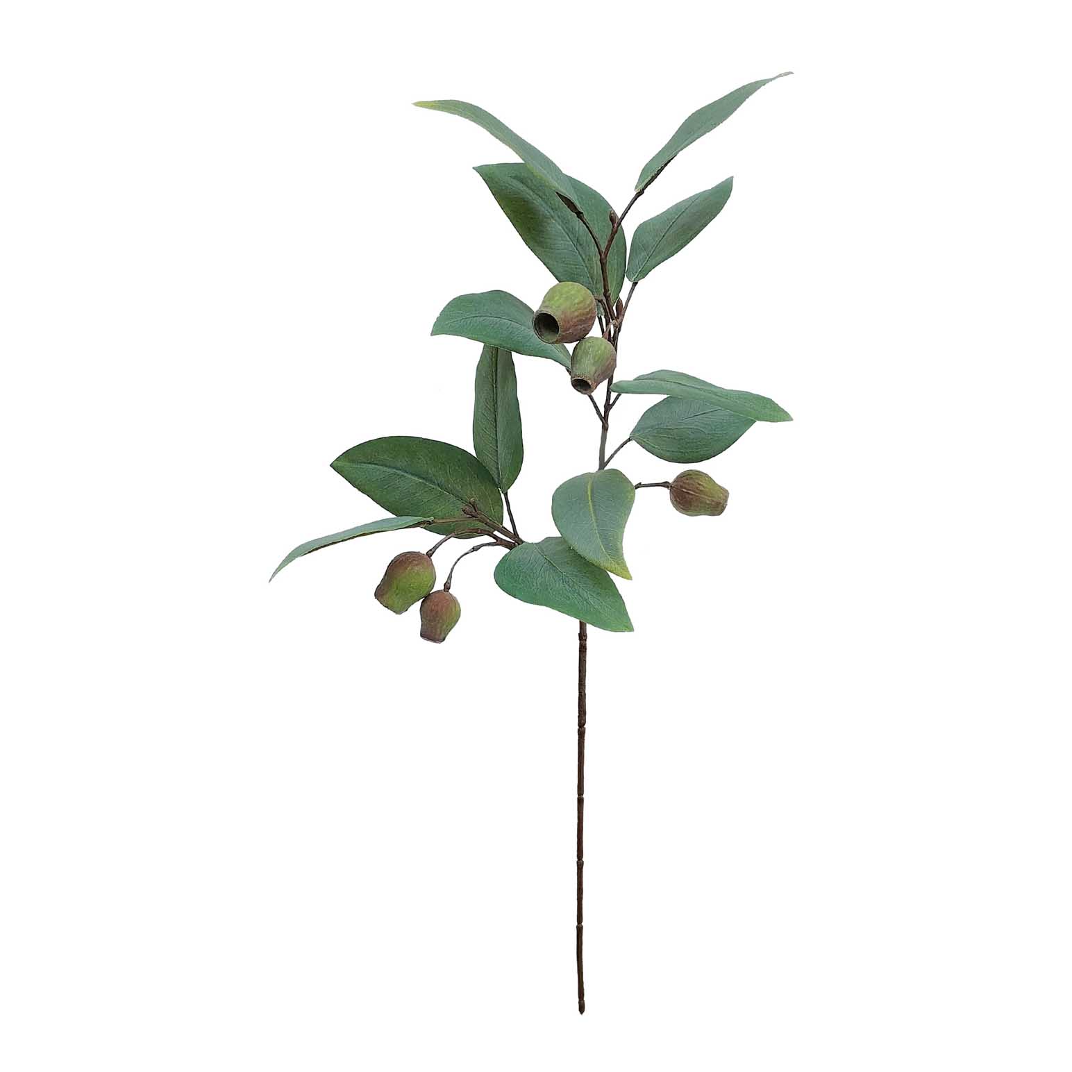 Alison's Acquisitions Medium Gumnut Spray Green