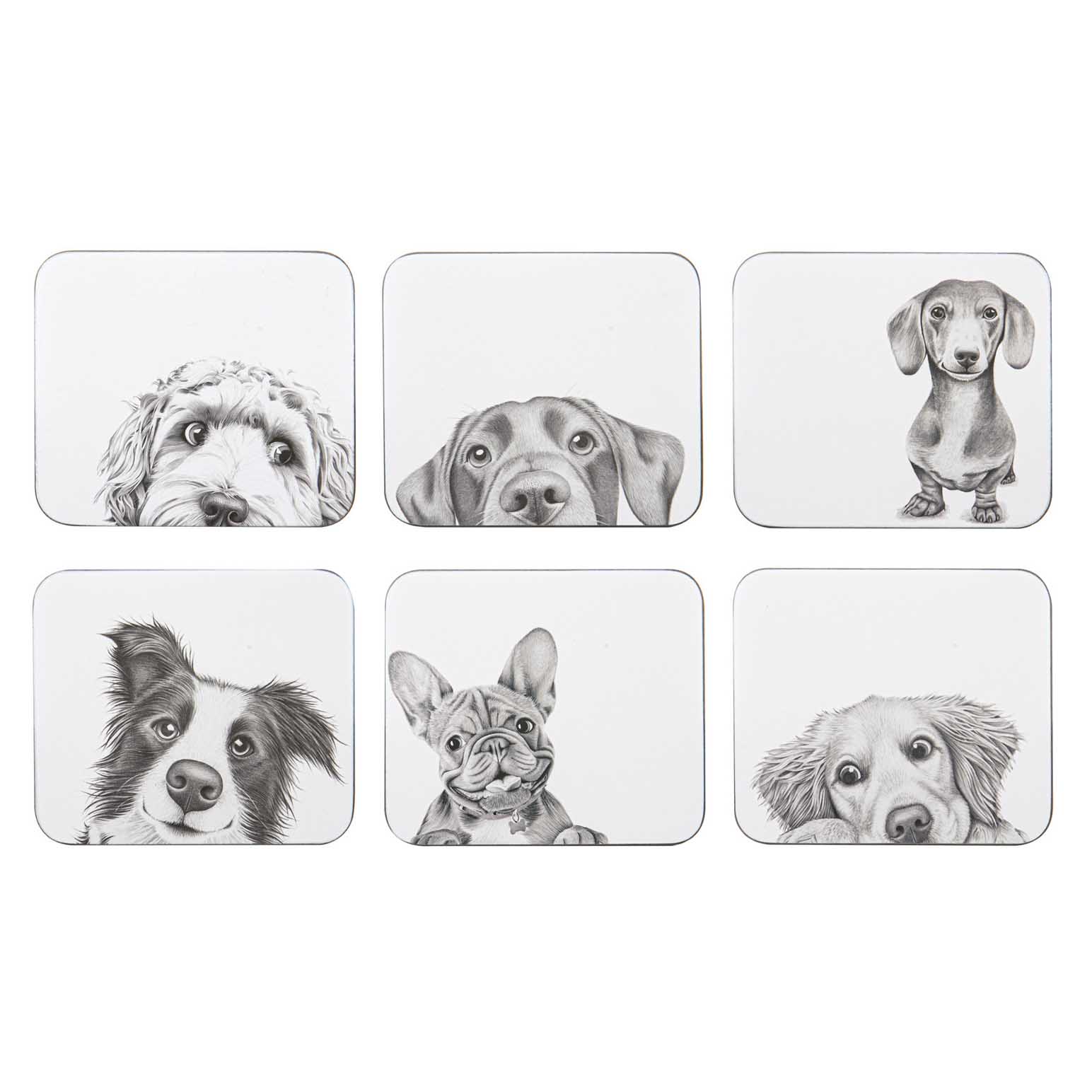 Ashdene Peeking Pups 6Pk Coaster