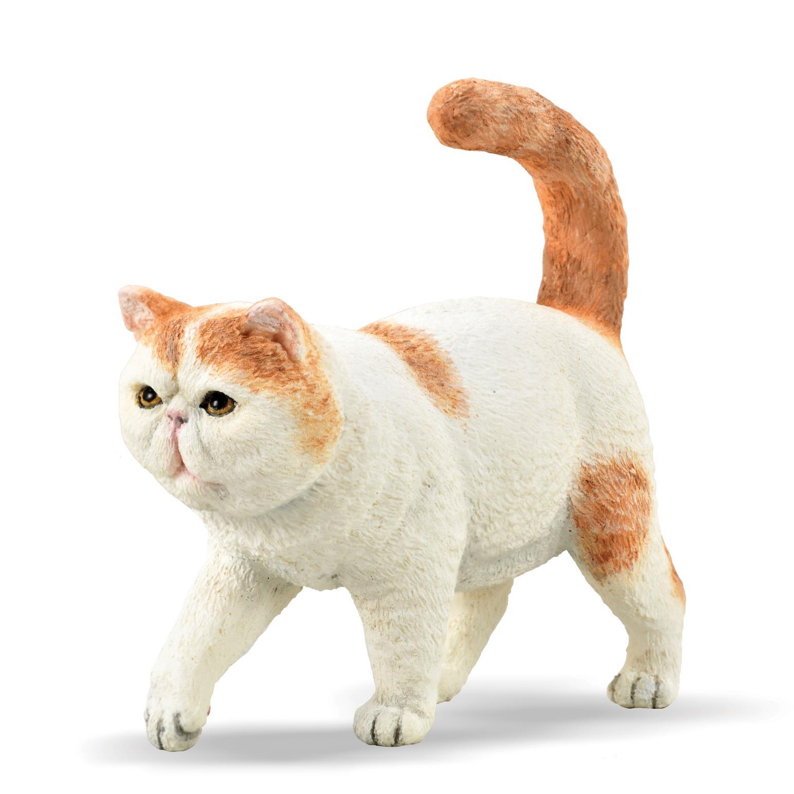 CollectA Exotic Shorthair Figurine S