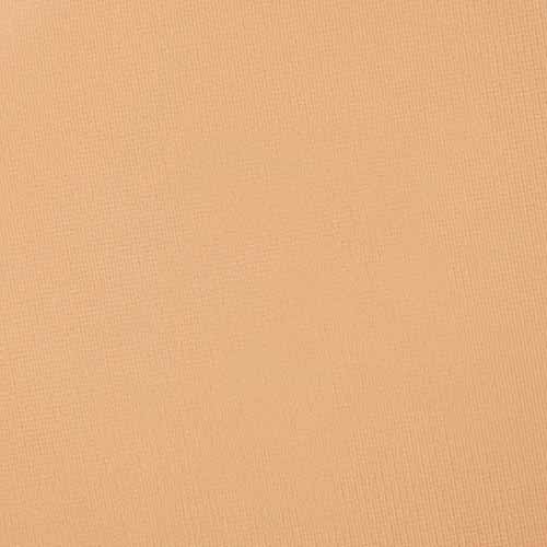 MAC Studio Fix Powder Plus Foundation