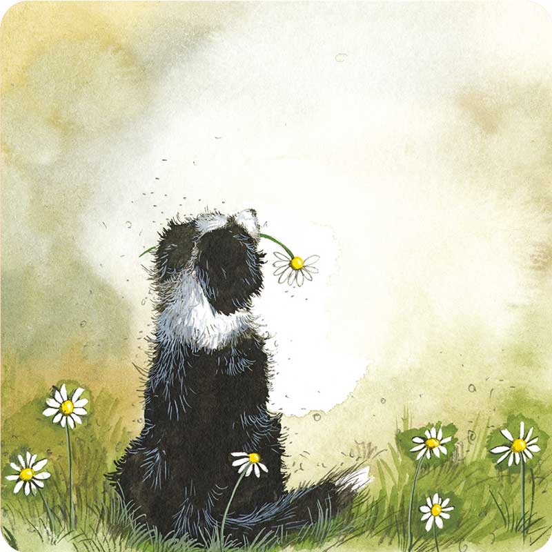 Alex Clark Collie And Flowers Coaster