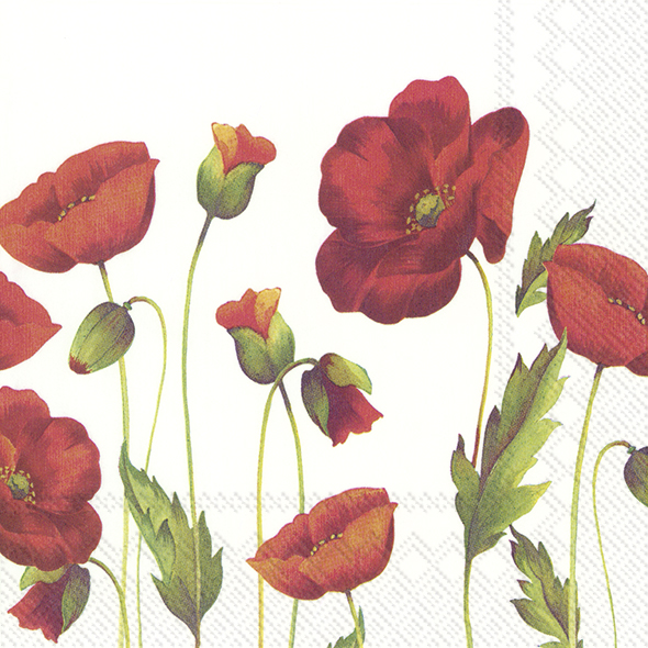IHR Luncheon Napkin Poppy White