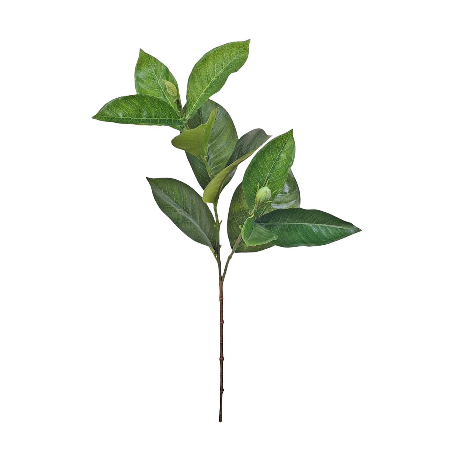 Alison's Acquisitions Gardenia Spray Green