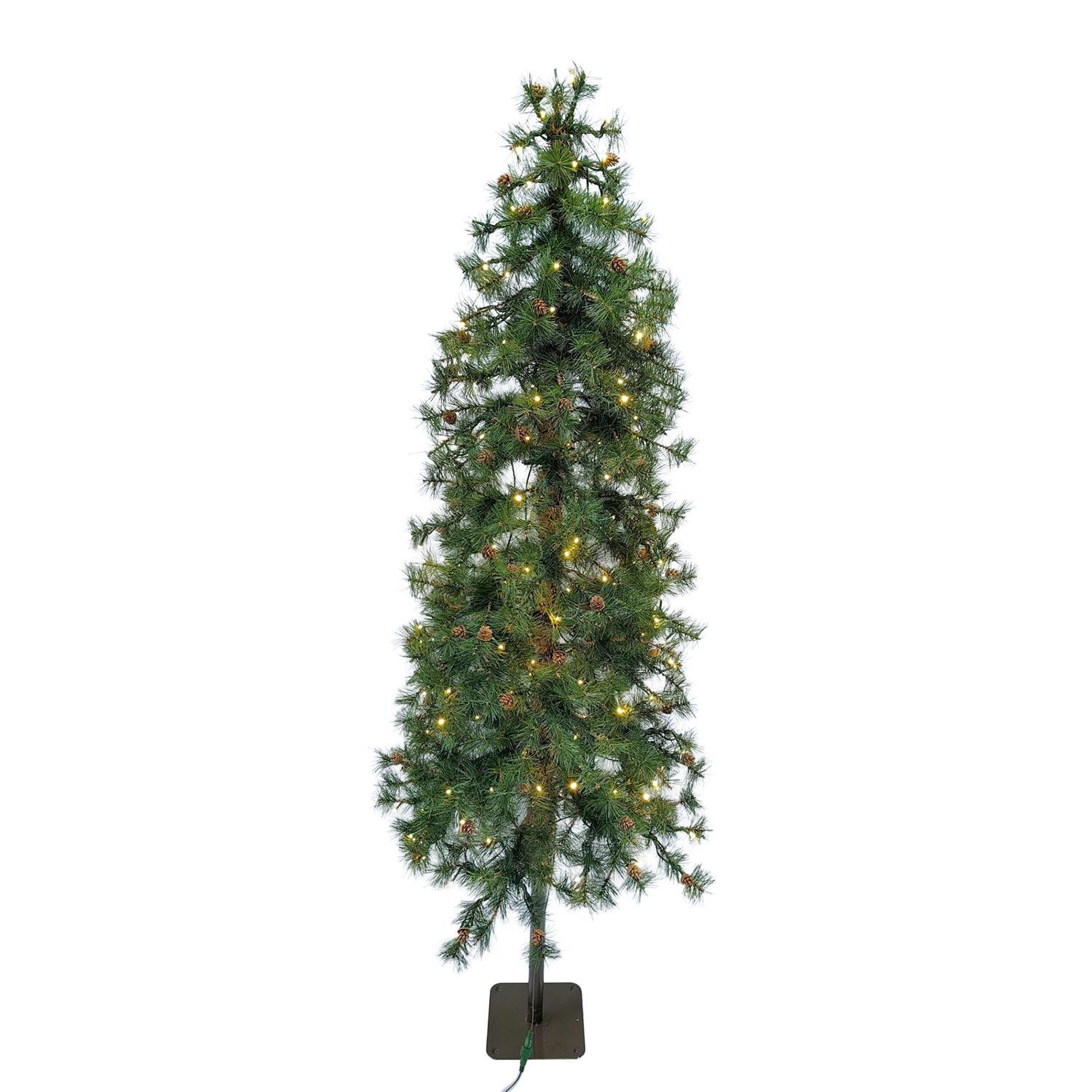 6' Needle Pine Tree with Cones & 200 Led Lights & 316 Tips