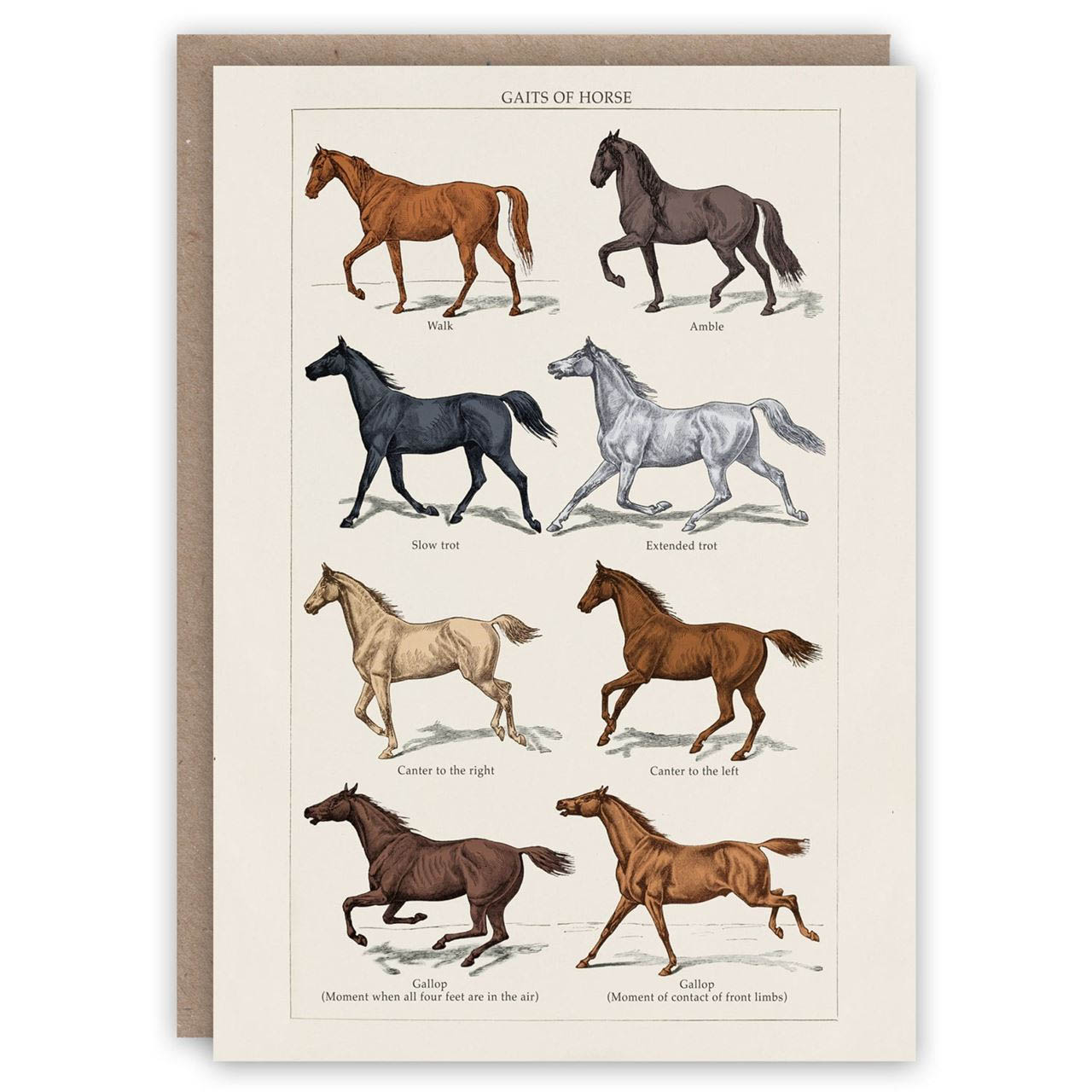 Gaits of Horse Card