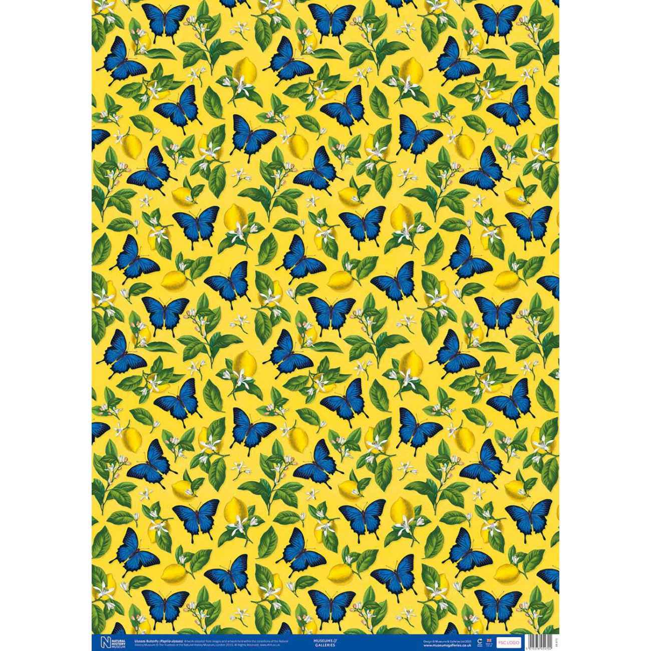 Museums & Galleries Ulysses Butterflies Wrap