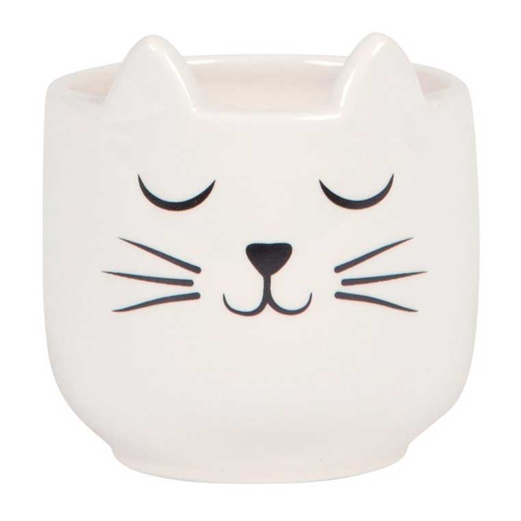 Sass & Belle Mini Cat's Whiskers White Planter