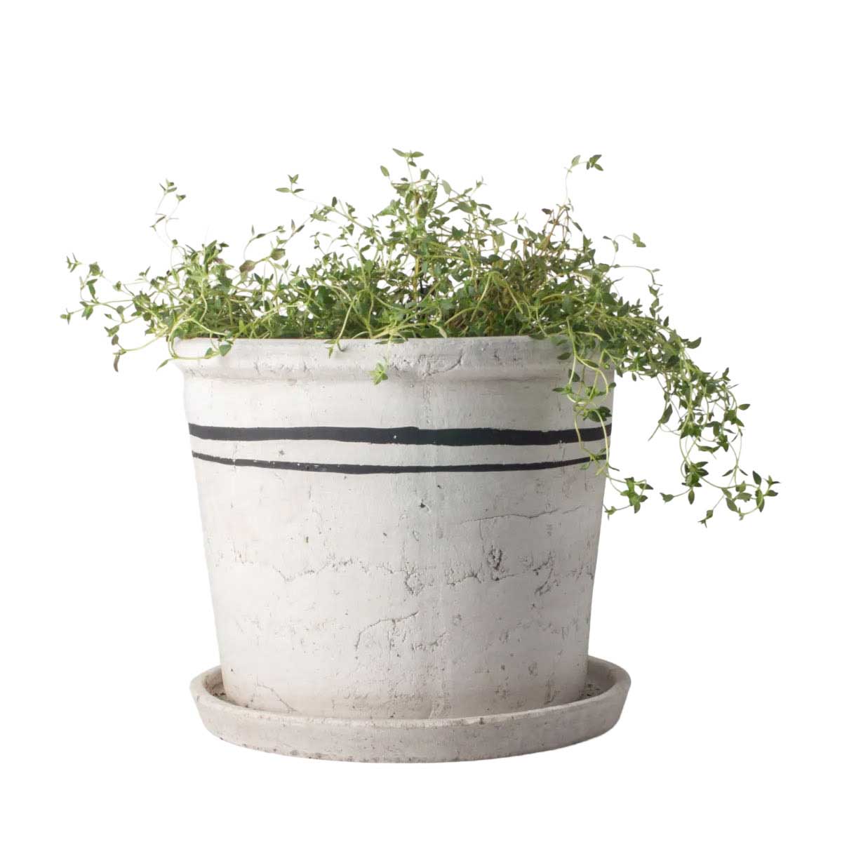 French Country Lisbon Herb Pot Large