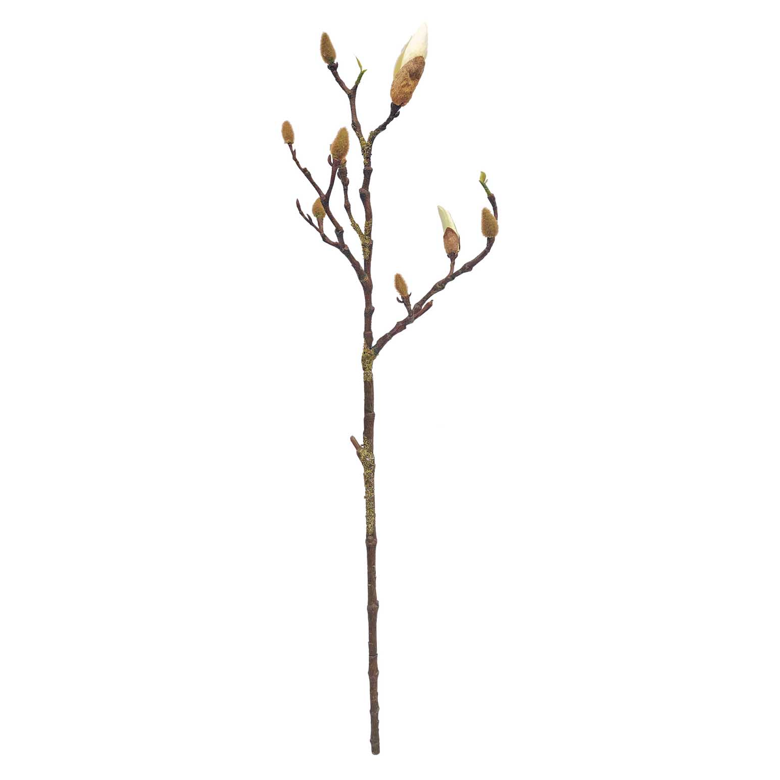 Alison's Acquisitions Magnolia Bud Branch White
