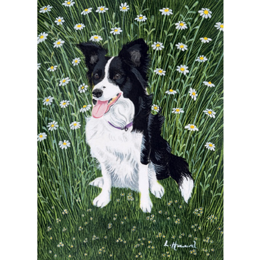 Daisy in The Daisies Card
