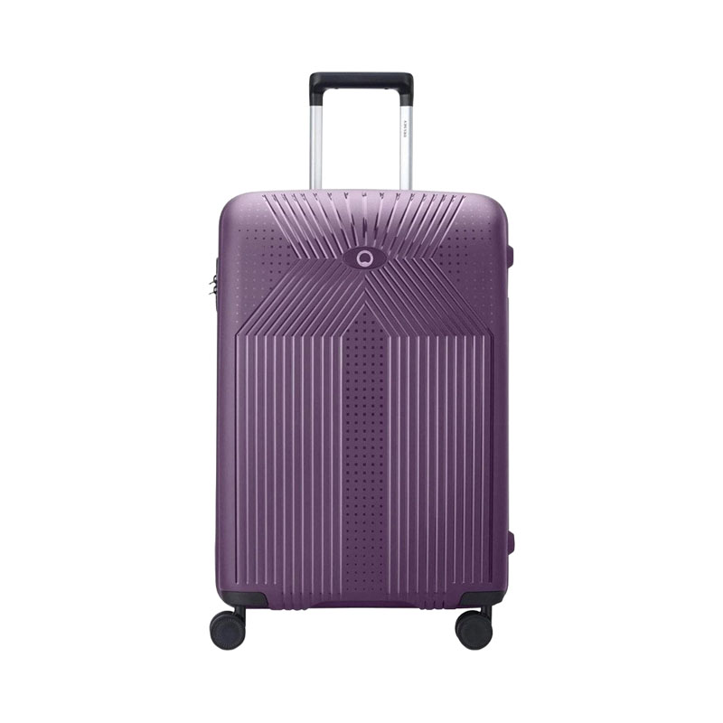 Delsey Ordener 66cm Travel Case