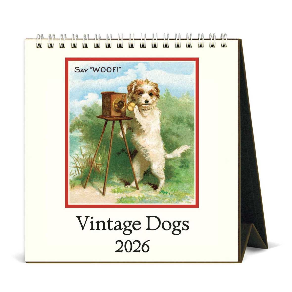 Cavallini Vintage Dogs 2026 Desk Calendar