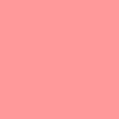 Peachy Lip Co. Lip Gloss
