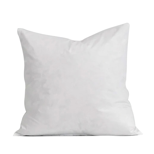 Feather Cushion Inner 45x45cmx670g