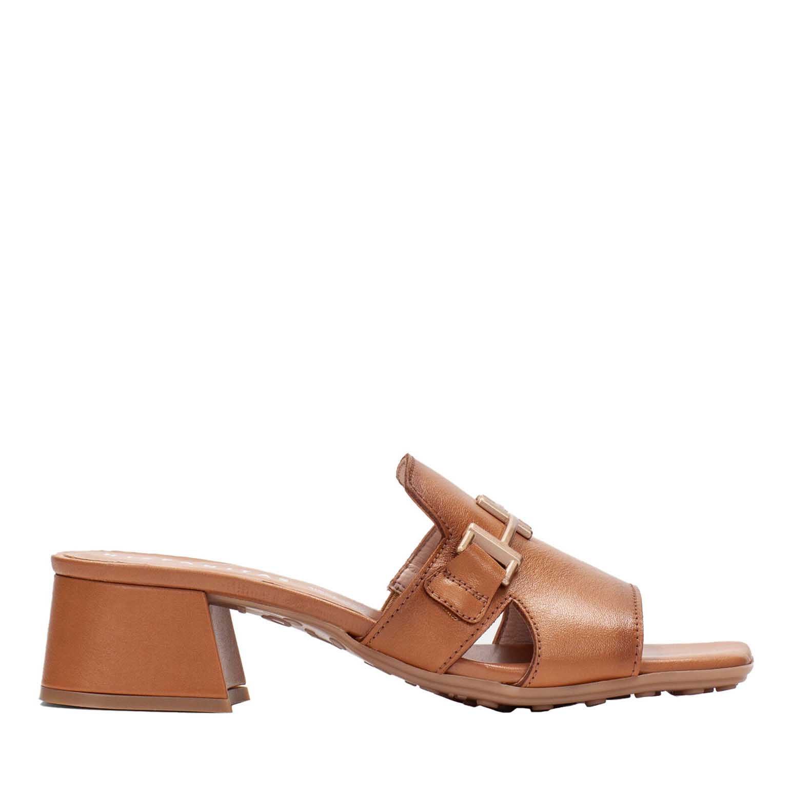 Hispanitas Dallas Mule