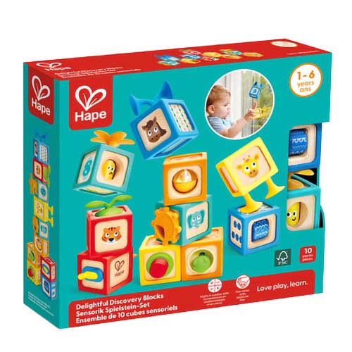Hape Delightful Discovery Blocks