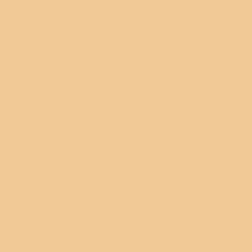 Aleph Beauty Concealer / Foundation