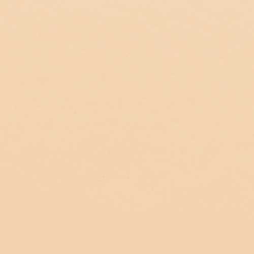 Shiseido Revitalessence Skin Matte Foundation